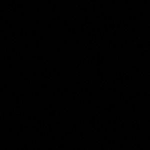 Meet your Posher, Sierra